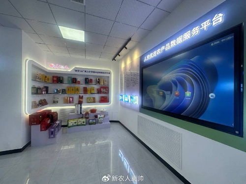 彰武县优质农产品入驻人民网人民优选健康数字未来馆，引领健康生活新未来